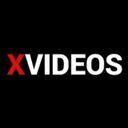 xvideos statistics